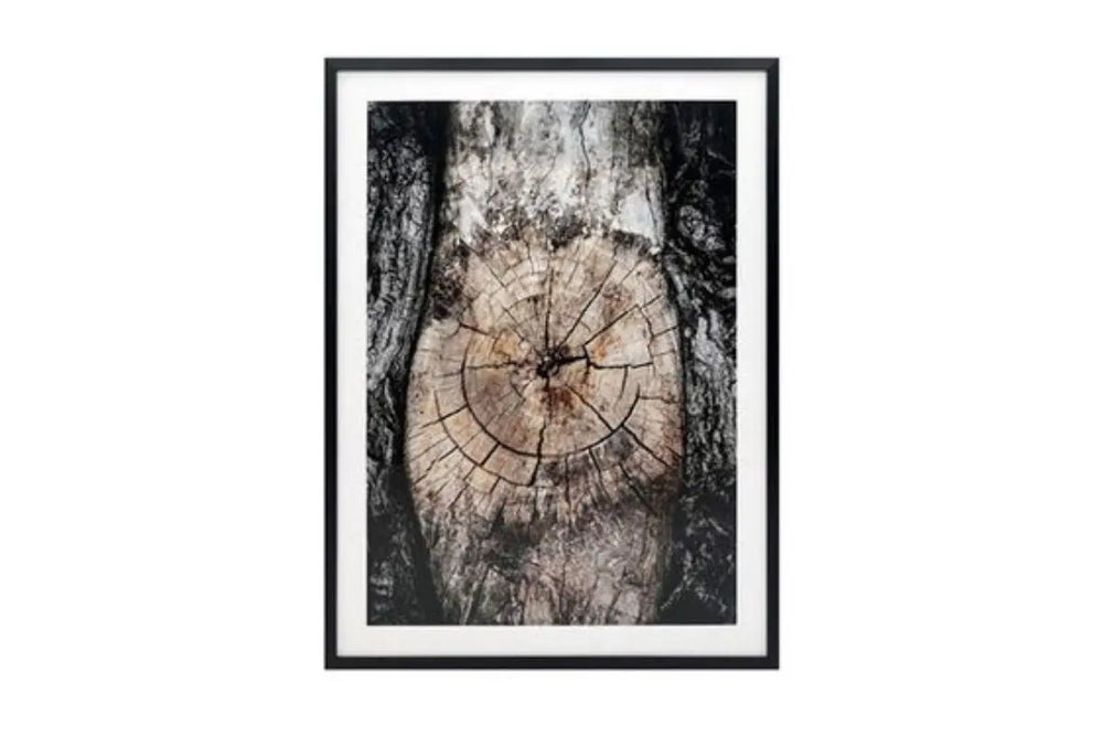 Freyburn_Wall_Art_V2_258725584