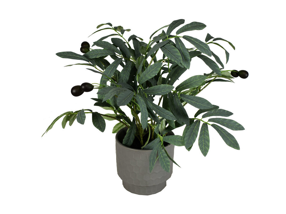 Haze_16in_Olive_Plant_in_Gray_Ceramic_839088520