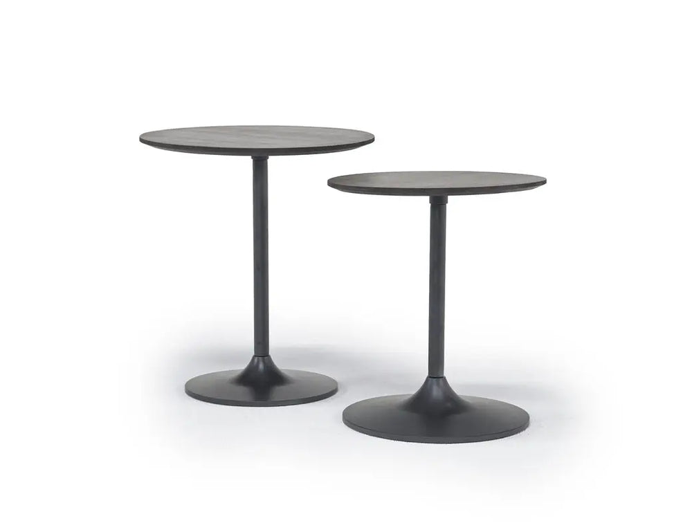Remy_Nesting_Tables_w_wood_Set_of_2_819158824